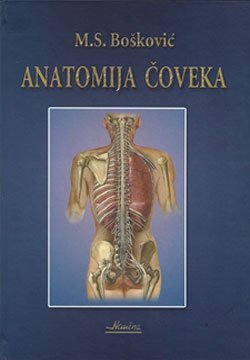 Anatomija čoveka - M.S. Bošković