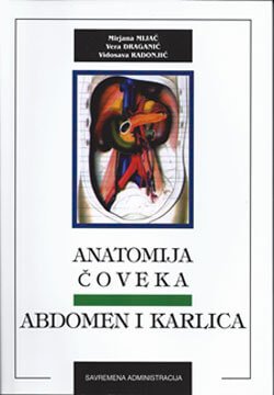 Anatomija čoveka - abdomen i karlica