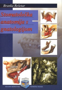 Stomatološka anatomija s gnatologijom