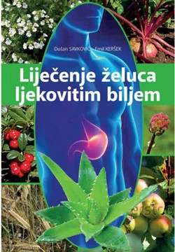 Liječenje želuca ljekovitim biljem