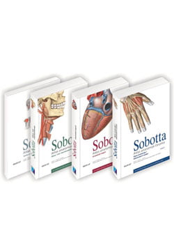 SOBOTTA - Atlas anatomije čoveka